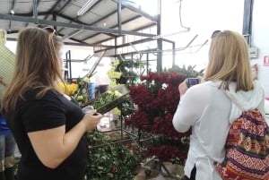 Från Quito: Otavalo Indian Market och Rose Farm delad tur