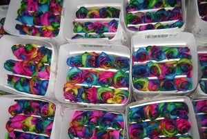 Från Quito: Otavalo Indian Market och Rose Farm delad tur