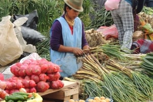 من كيتو: جولة خاصة إلى بحيرة كويلوتوا مع النقل والغداء