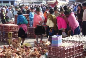 من كيتو: جولة خاصة إلى بحيرة كويلوتوا مع النقل والغداء