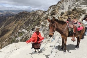 من كيتو: جولة خاصة إلى بحيرة كويلوتوا مع النقل والغداء