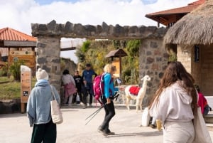 Fra Quito: Cotopaxi nasjonalpark og vandring i Quilotoa-lagunen