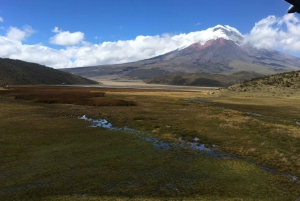 De Quito: visite guidée privée des Andes de l'Équateur de 5 jours
