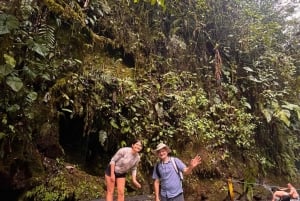 From Quito to Mindo: Cloud forest and waterfalls in 1 day.