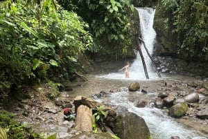 From Quito to Mindo: Cloud forest and waterfalls in 1 day.