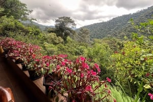 From Quito to Mindo: Cloud forest and waterfalls in 1 day.