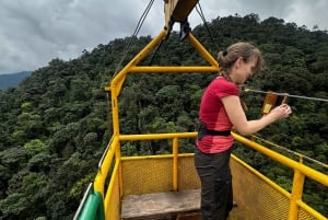 From Quito to Mindo: Cloud forest and waterfalls in 1 day.