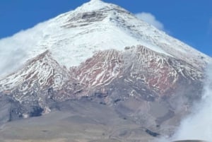 Fra Quito: Tur til Cotopaxi-vulkanen inkluderer alt