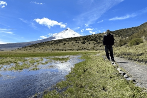 من كيتو جولة في بركان كوتوباكسي تشمل كل ما يلي