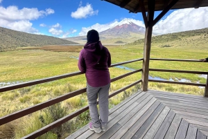 من كيتو جولة في بركان كوتوباكسي تشمل كل ما يلي