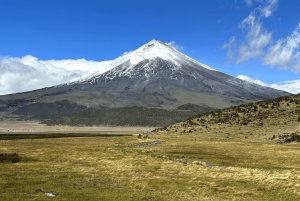 من كيتو جولة في بركان كوتوباكسي تشمل كل ما يلي
