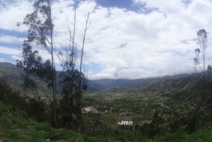 Depuis Quito : Visite guidée des chutes d'eau de Baños de Agua Santa