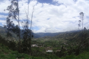 من كيتو: جولة شلالات بانوس دي أغوا سانتا المصحوبة بمرشدين