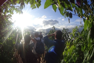 من كيتو: جولة شلالات بانوس دي أغوا سانتا المصحوبة بمرشدين