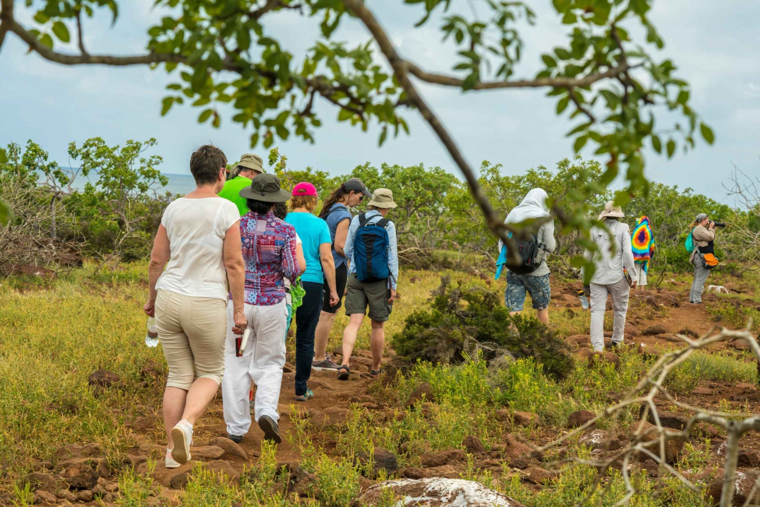 From San Cristobal: 7-Day Galapagos Islands Tour w/ Lodging