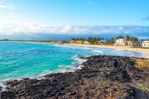 From San Cristobal: 7-Day Galapagos Islands Tour w/ Lodging