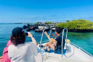 Fra Santa Cruz: 2-dages Isabela Island-tur med vulkanvandring