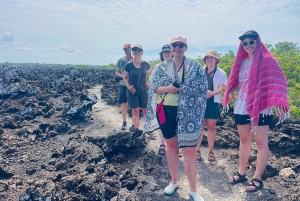 Fra Santa Cruz: 2-dages Isabela Island-tur med vulkanvandring