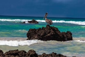 From Seymour: 5-Day Galápagos Islands Tour with Hotel & Food