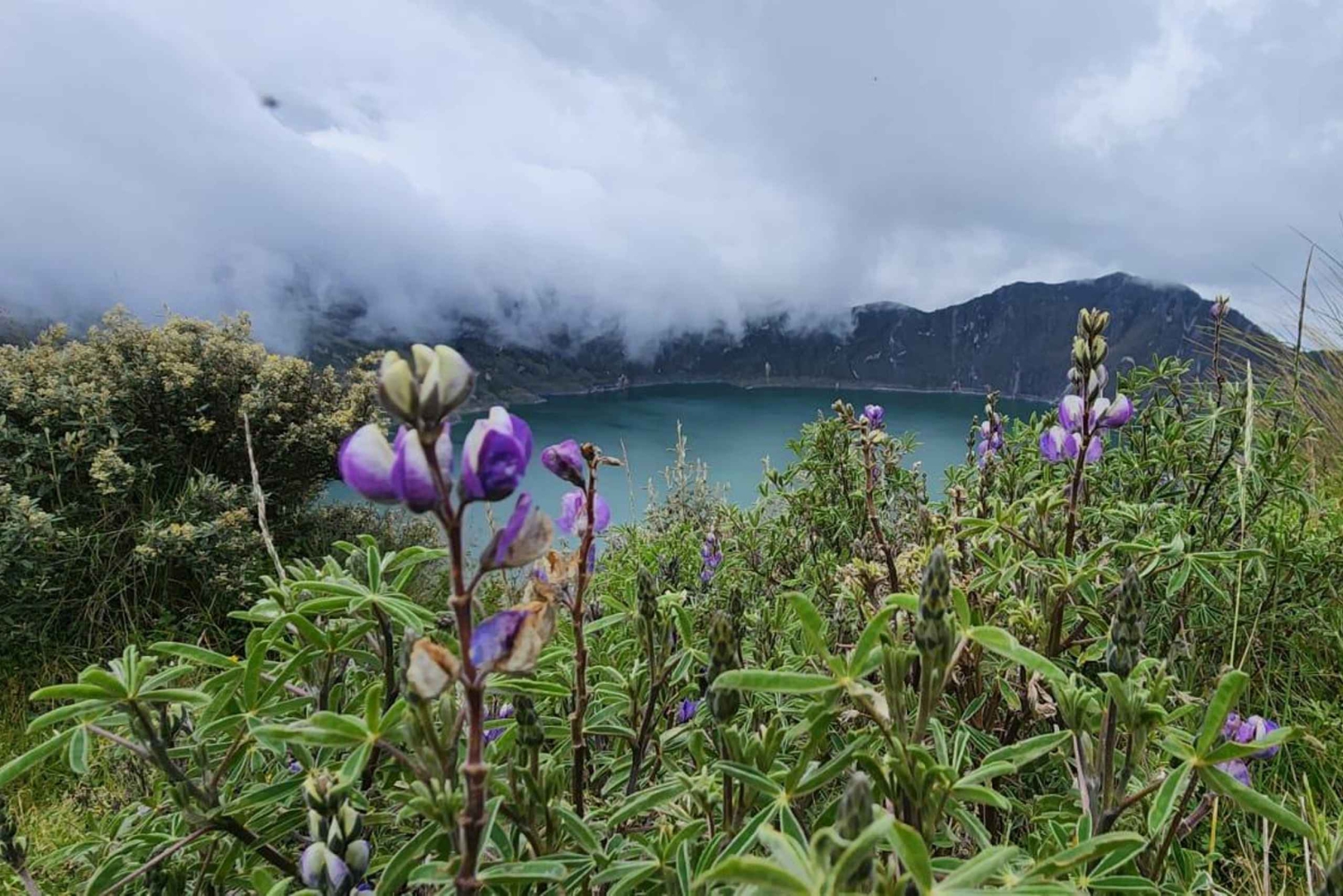 يوم كامل في Laguna Quilotoa: الطبيعة وثقافة الأنديز