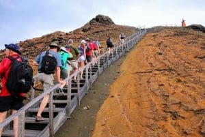 Full Day Bartolome Island & Sullivan Bay