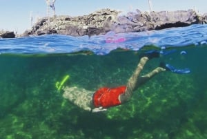 Dagvullende tour door lavatunnels vanaf het eiland Isabela