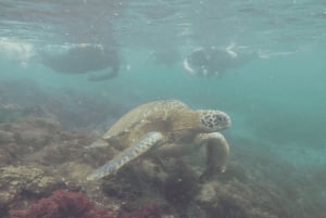 Dagvullende tour door lavatunnels vanaf het eiland Isabela