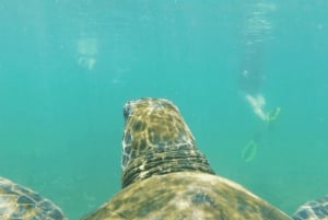 Dagvullende tour door lavatunnels vanaf het eiland Isabela