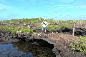 Dagvullende tour door lavatunnels vanaf het eiland Isabela