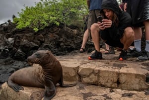 Tour di un giorno intero a Leon Dormido e all'Isola di Lobos