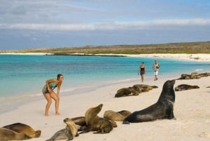 Heldagstur till Leon Dormido och Lobos Island