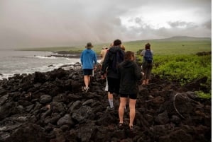 Excursão de 1 dia a Leon Dormido e à Ilha de Lobos