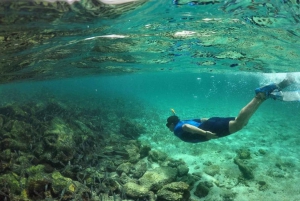 Dia inteiro na Ilha Pinzon, terminando em La Fe com mergulho com snorkel