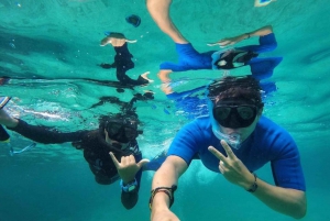 Hele dag Pinzon Island, eindigend in la Fe met snorkelen