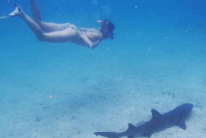 Hele dag Pinzon Island, eindigend in la Fe met snorkelen