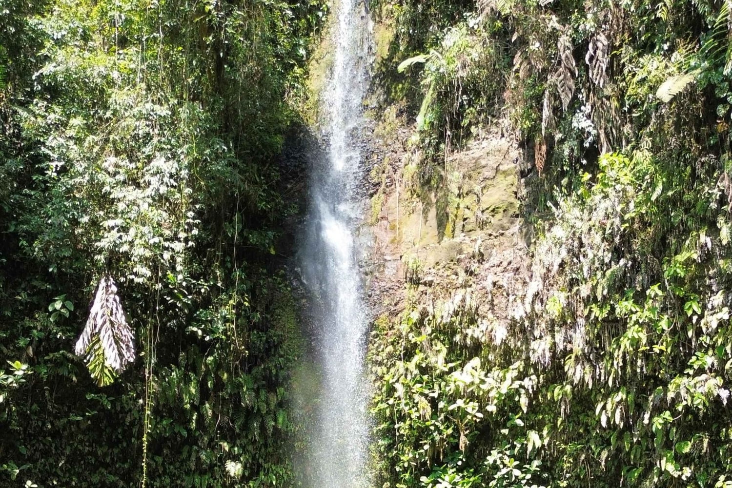 جولة خاصة لمدة يوم كامل في الأمازون