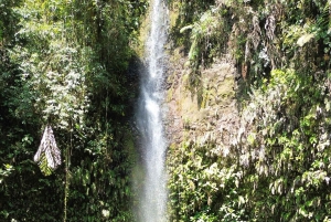 جولة خاصة لمدة يوم كامل في الأمازون