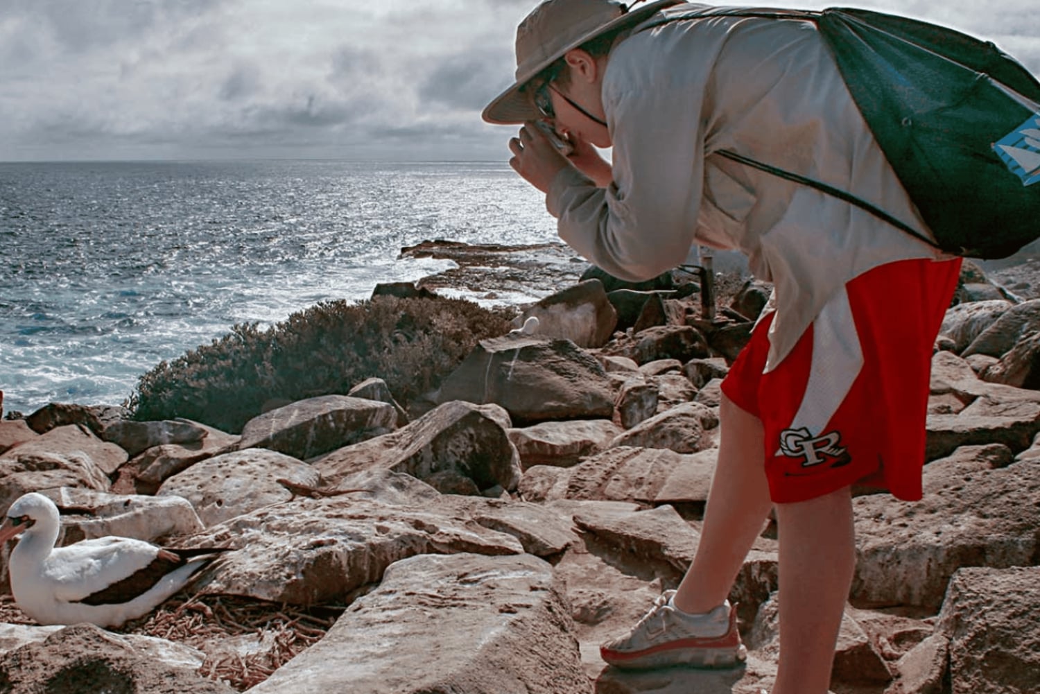 Heldag Seymour North Island & Las Bachas