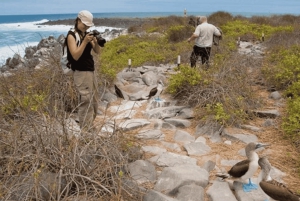Heldag Seymour North Island & Las Bachas