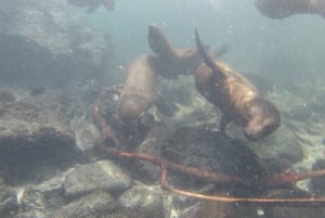 FULL DAY TO SANTA FE ISLAND IN GALAPAGOS