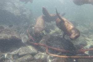 DÍA COMPLETO A LA ISLA SANTA FE EN GALÁPAGOS