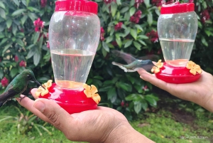 Excursão de dia inteiro em Mindo com tudo incluído, com transporte saindo de Quito.