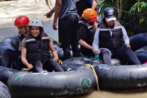 Excursão de dia inteiro em Mindo com tudo incluído, com transporte saindo de Quito.
