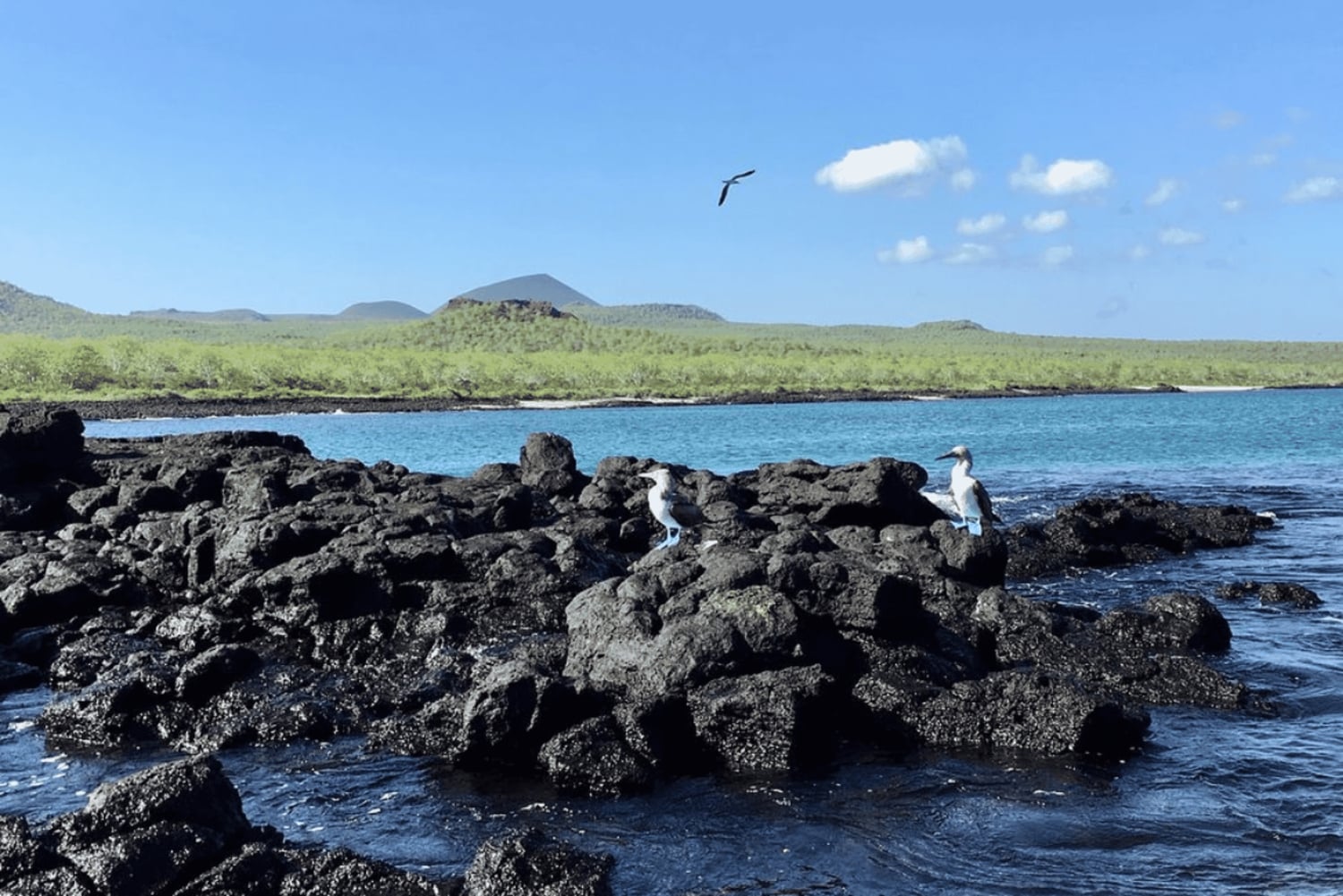 Полнодневная экскурсия на остров Флореана и в пещеру пиратов