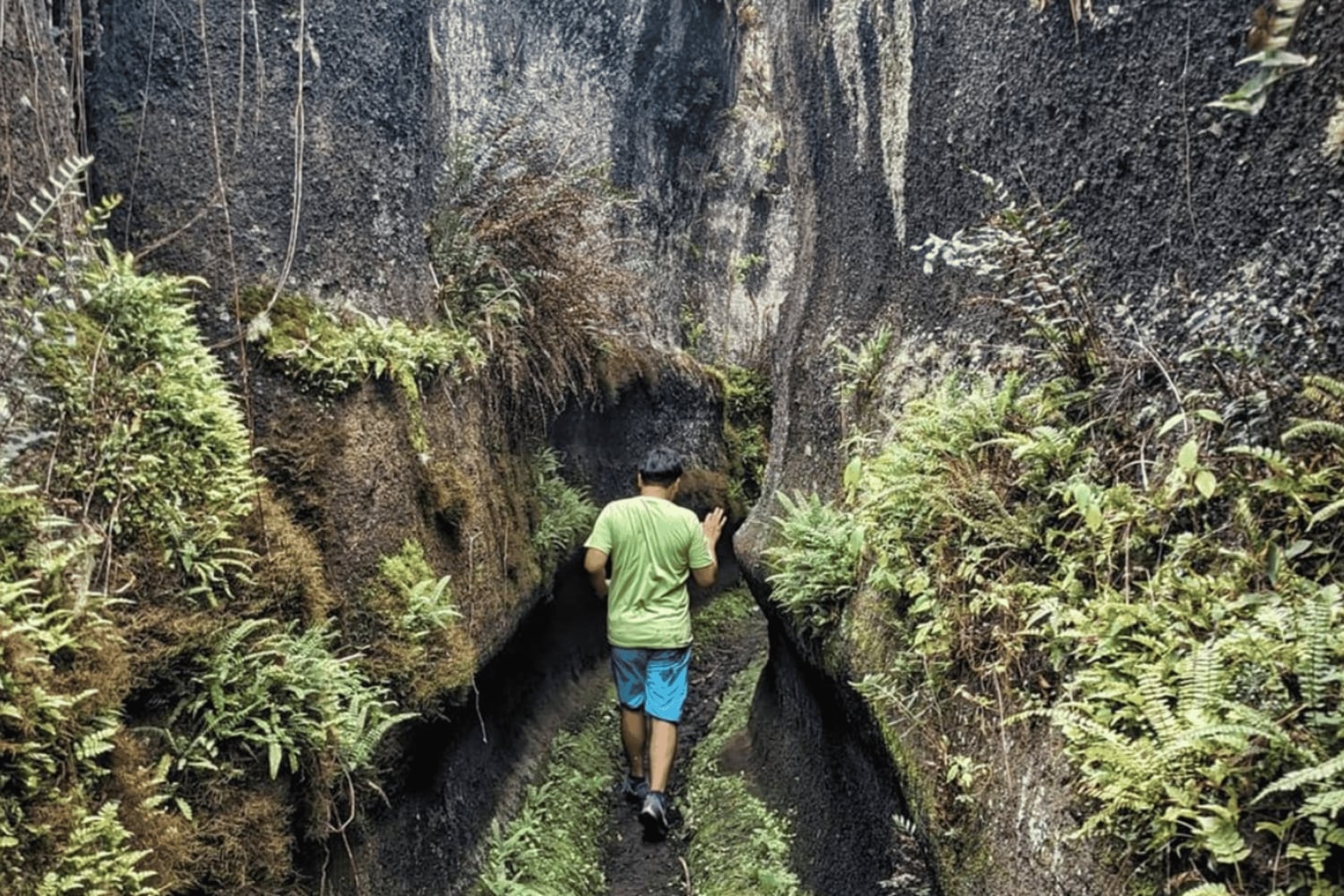 Полнодневная экскурсия на остров Флореана и в пещеру пиратов