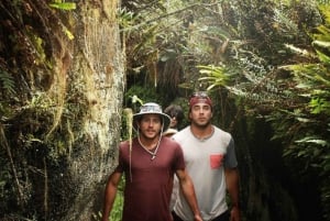 Excursão de 1 dia para a Ilha Floreana e a Caverna dos Piratas