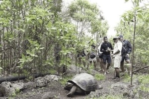 Полнодневная экскурсия на остров Флореана и в пещеру пиратов
