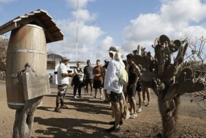 Полнодневная экскурсия на остров Флореана и в пещеру пиратов