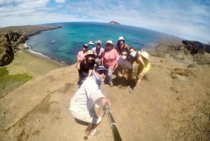 Kokopäiväretki Punta Cormorantille ja Enderby-saarelle Floreanan Galapagos-saarella