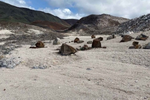 Full Day (Trillizos Volcano and Sulfur Mines)